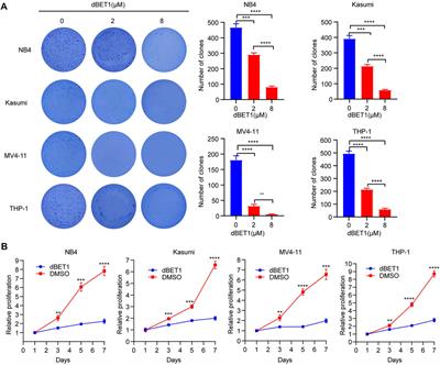 A Novel BRD Family PROTAC Inhibitor dBET1 Exerts Great Anti-Cancer Effects by Targeting c-MYC in Acute Myeloid Leukemia Cells